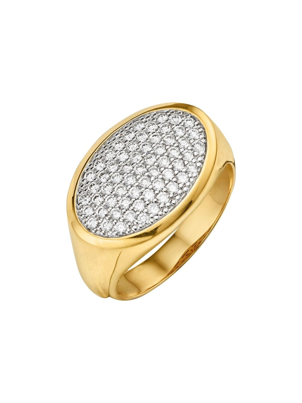 Produktbild von Ring / Gold 585 / Brillant Gelbgold 60