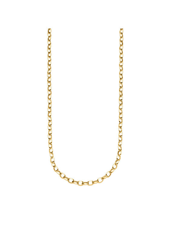 Produktbild von Kette / Gold 585 Gelbgold 48