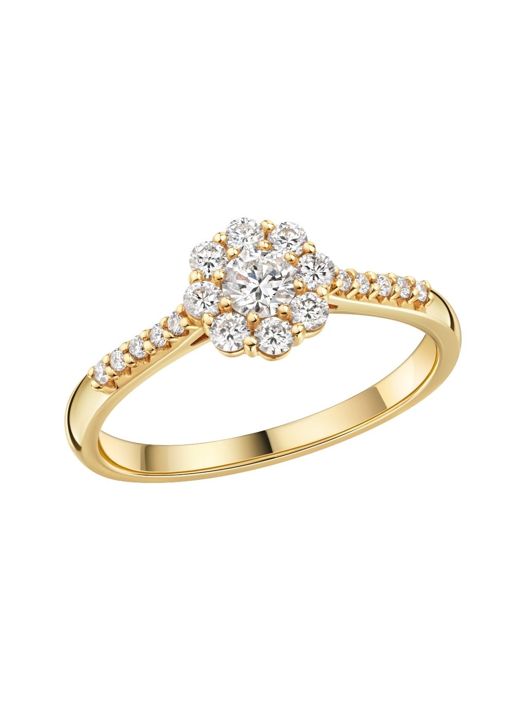 Produktbild von Ring / Gold 585 / Brillant Gelbgold 62