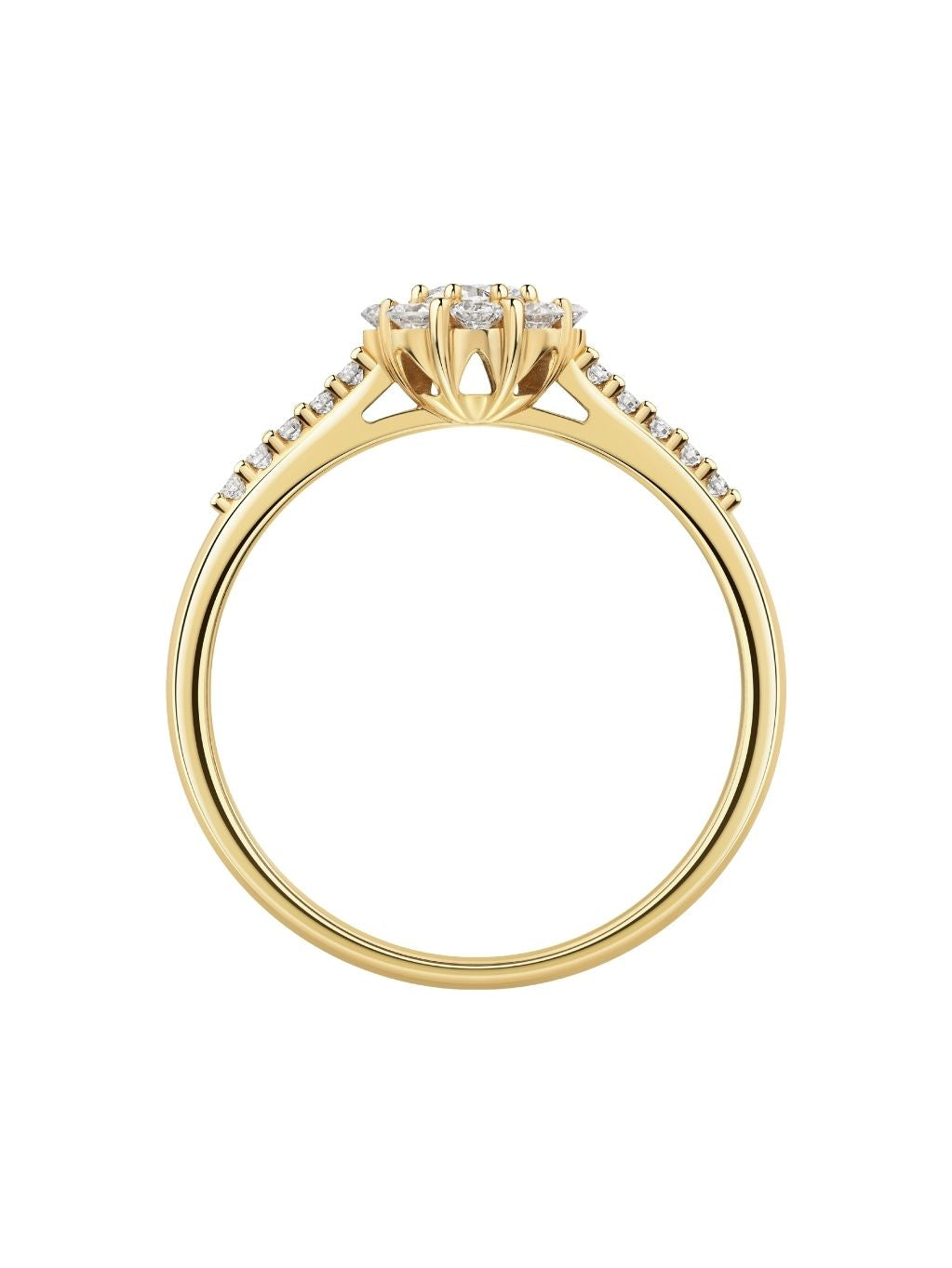 Produktbild von Ring / Gold 585 / Brillant